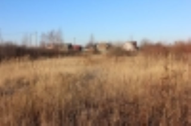 Участок в д. Кириллово