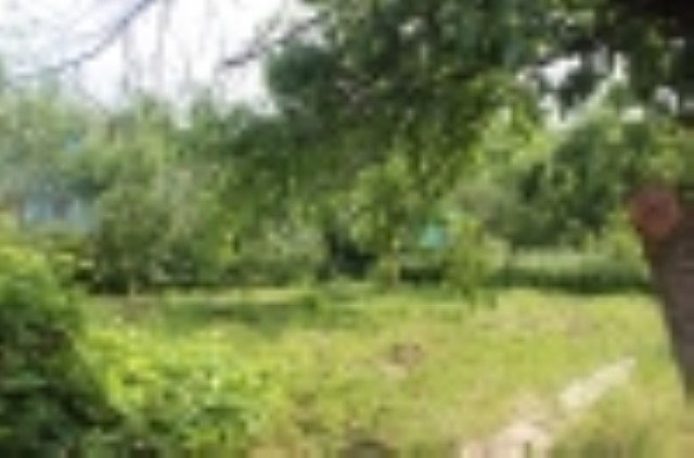 Дача в д. Русиново